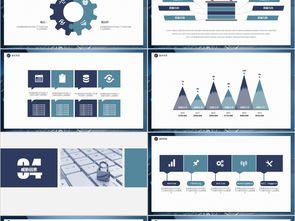 網(wǎng)絡(luò)與信息安全軟件開發(fā) 從技術(shù)實踐到商務(wù)呈現(xiàn)