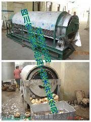 輥刷魔芋清洗去皮機 高效自動化設備的應用與軟件開發支持